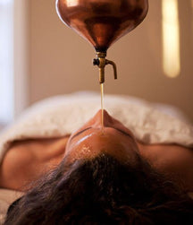 1 (1).jpg__PID:b287e9fa-543d-4158-a0ba-bd76538cba0c