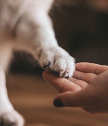 4.jpg__PID:e9fa543d-e158-40ba-bd76-538cba0cec2f